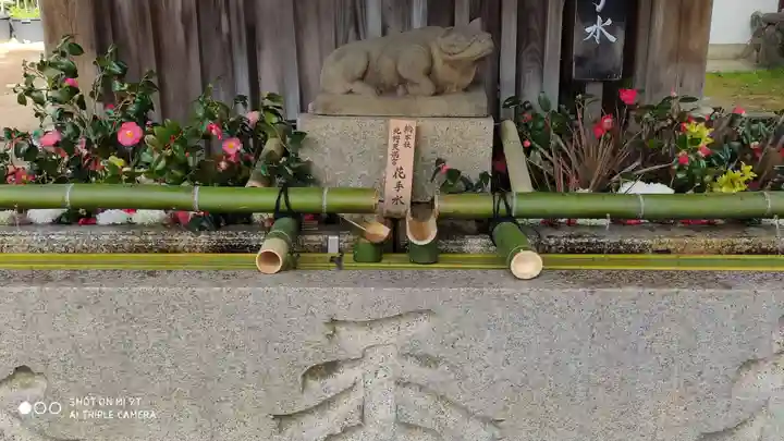 北野天満宮の手水舎