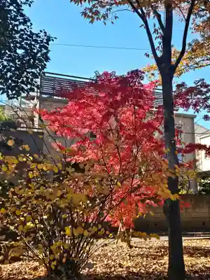 武蔵一宮氷川神社(埼玉県)