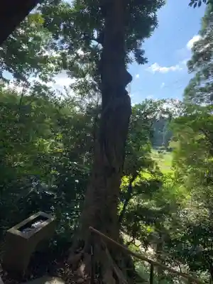 天神神社の自然