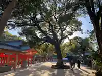 住吉神社(福岡県)
