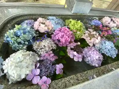 下野國一社八幡宮の手水舎