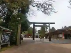 射水神社の鳥居