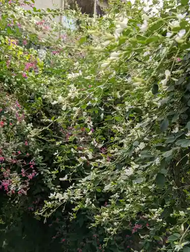 勝念寺（かましきさん）(京都府)