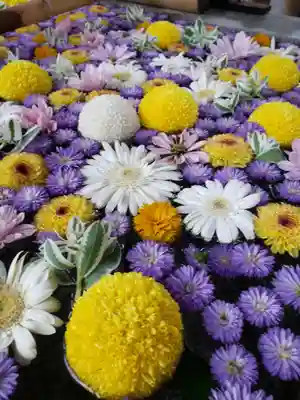 高円寺氷川神社(東京都)