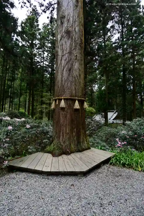 御岩神社の自然