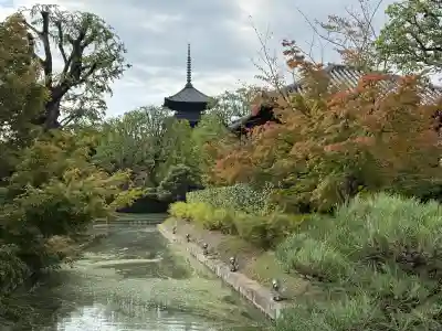東寺（教王護国寺）(京都府)