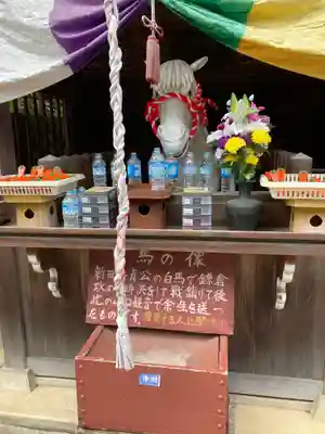 金乗院放光寺のその他建物