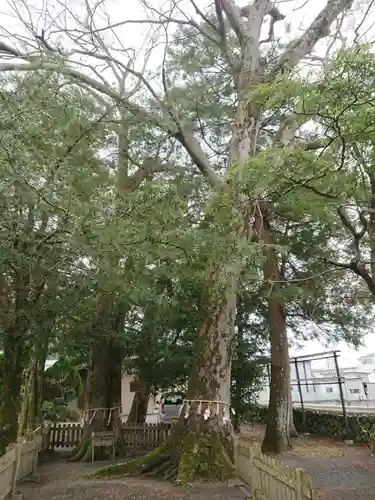 二郷神社の自然