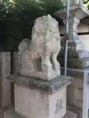 津田八幡神社の狛犬