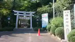 星川杉山神社の鳥居