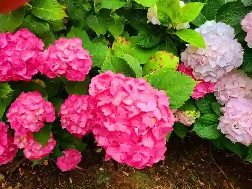 千光寺(福岡県)