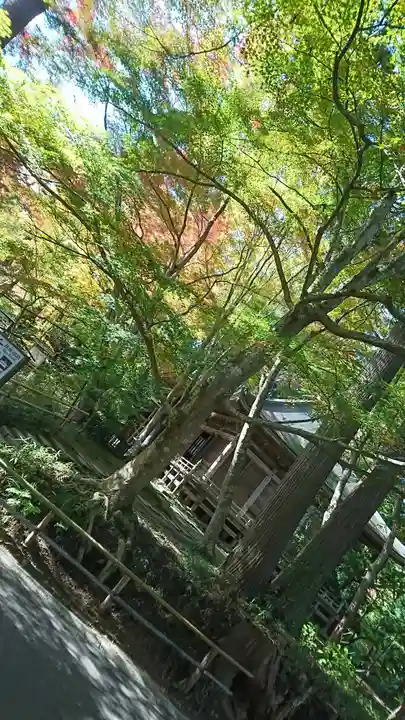 中尊寺(岩手県)