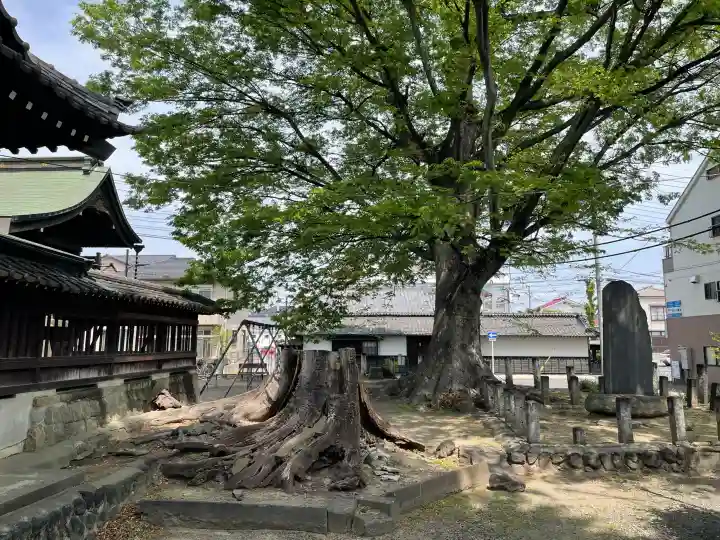 千形神社の{uncategorized: "未分類", other: "その他", undefined: "問題あり", building: "その他建物", grave: "お墓", sacred_gate: "鳥居", guardian: "狛犬", statue: "像", buddha: "仏像", history: "歴史", nature: "自然", garden: "庭園", animal: "動物", pagoda: "塔", temizu: "手水舎", mountain_gate: "山門・神門", sanctuary: "本殿・本堂", subordinate: "末社・摂社", art: "芸術", scenery: "景色", jizo: "地蔵", ema: "絵馬", goshuin: "御朱印", omikuji: "おみくじ", items: "授与品その他", amulet: "お守り", goshuincho: "御朱印帳", eats: "食事", festival: "お祭り", votive_dance: "神楽", shichigosan: "七五三参", wedding: "結婚式", experience: "体験その他", initially: "初詣", around: "周辺", anti_infection: "感染症対策"}