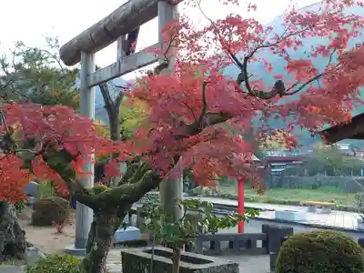太皷谷稲成神社(島根県)