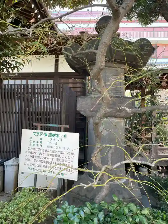 西教寺の{uncategorized: "未分類", other: "その他", undefined: "問題あり", building: "その他建物", grave: "お墓", sacred_gate: "鳥居", guardian: "狛犬", statue: "像", buddha: "仏像", history: "歴史", nature: "自然", garden: "庭園", animal: "動物", pagoda: "塔", temizu: "手水舎", mountain_gate: "山門・神門", sanctuary: "本殿・本堂", subordinate: "末社・摂社", art: "芸術", scenery: "景色", jizo: "地蔵", ema: "絵馬", goshuin: "御朱印", omikuji: "おみくじ", items: "授与品その他", amulet: "お守り", goshuincho: "御朱印帳", eats: "食事", festival: "お祭り", votive_dance: "神楽", shichigosan: "七五三参", wedding: "結婚式", experience: "体験その他", initially: "初詣", around: "周辺", anti_infection: "感染症対策"}