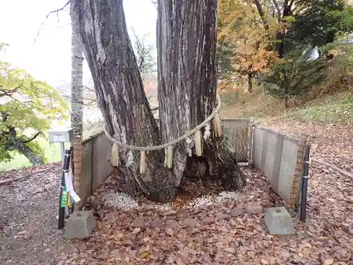 浦幌神社・乳神神社の自然