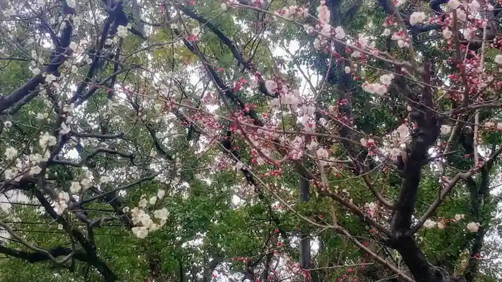 筥崎宮(福岡県)