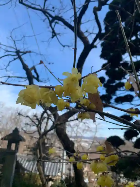 玉巌寺(群馬県)
