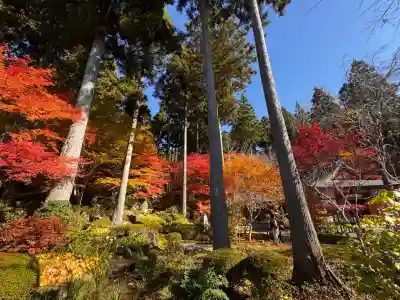 三千院門跡(京都府)