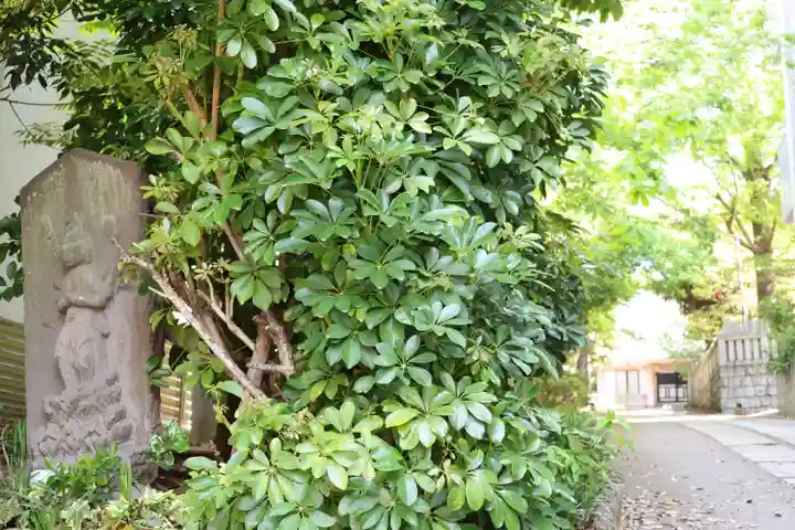 宝福寺(東京都)