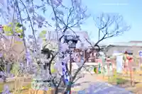 寛永寺開山堂(東京都)