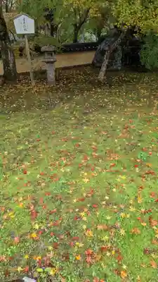 十輪寺(京都府)