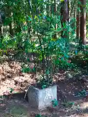 伊保田神社の自然