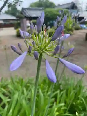 世良田東照宮(群馬県)