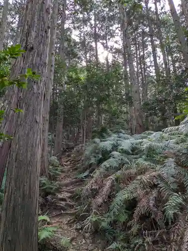 大縣神社(愛知県)