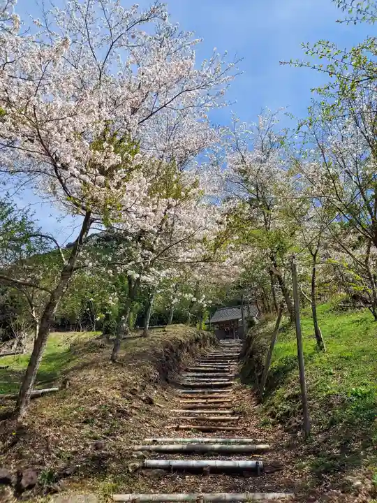 八幡神社の自然
