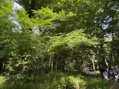 深大寺(東京都)