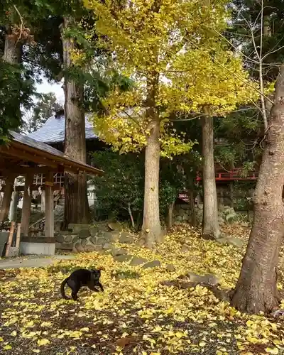 高司神社〜むすびの神の鎮まる社〜のその他建物