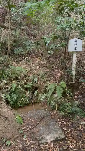 猿田神社(千葉県)