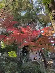 天台宗　長窪山　正覚寺の自然