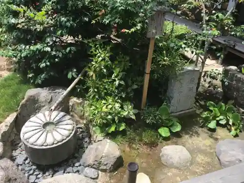 雲龍院の庭園