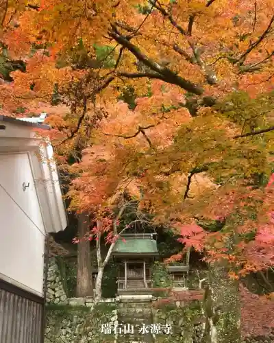 永源寺(滋賀県)