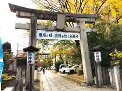 安井金比羅宮の鳥居