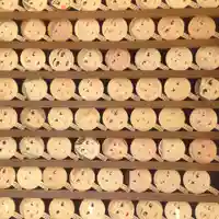 河合神社(鴨川合坐小社宅神社)の絵馬