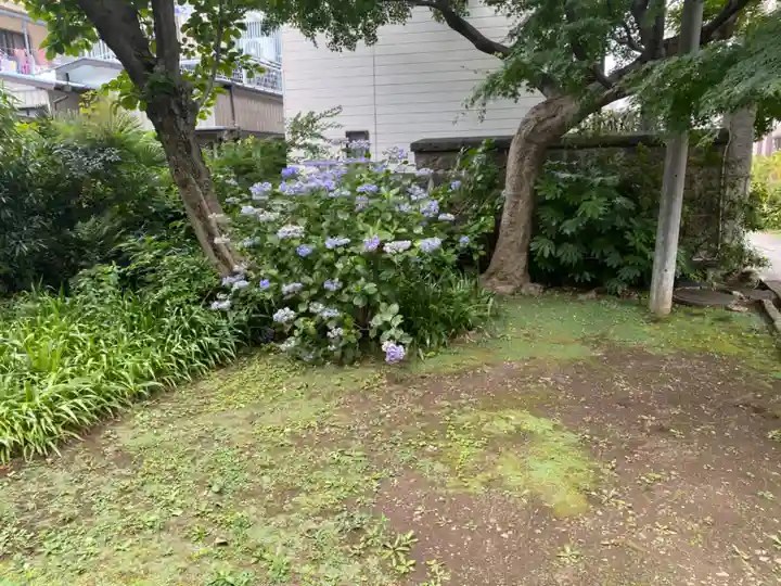 最勝寺教学院の庭園