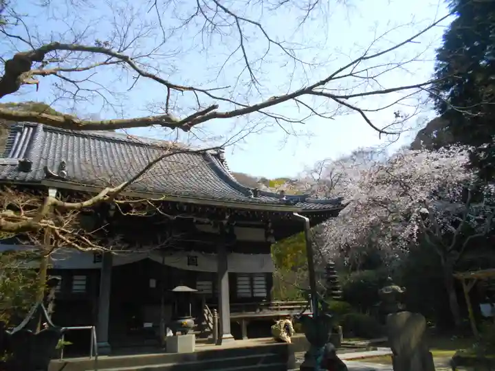 安國論寺(安国論寺)の本殿・本堂