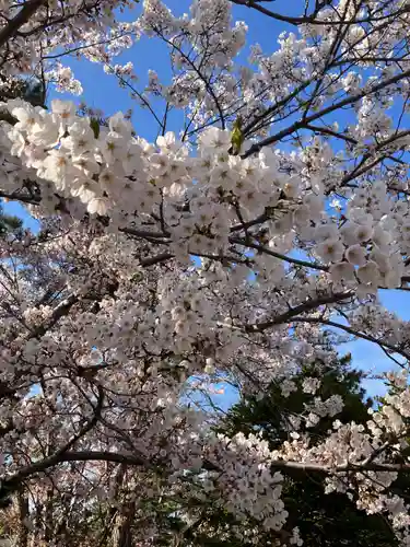 烈々布神社の自然