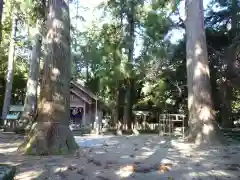 原地神社の自然