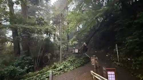 笠森寺(千葉県)