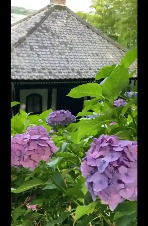 長谷寺(神奈川県)