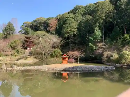 浄瑠璃寺の庭園