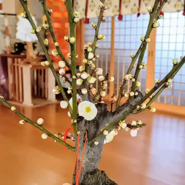 彌彦神社 (伊夜日子神社)の芸術