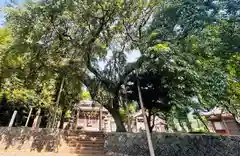 川俣神社(三重県)