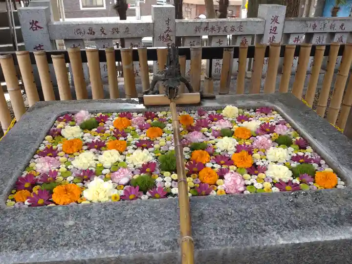 高円寺氷川神社(東京都)
