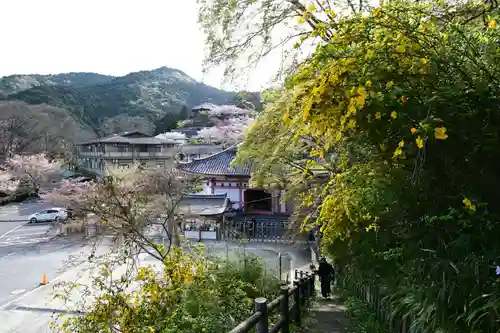 南法華寺（壷阪寺）(奈良県)