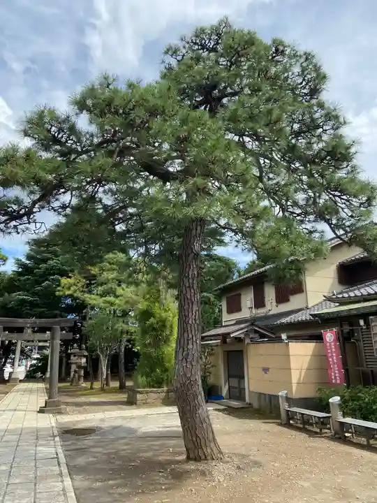 品川神社の自然
